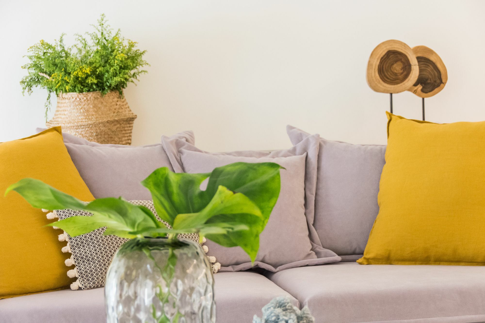 Iloftmalaga Fernando De Lesseps Apartamento *