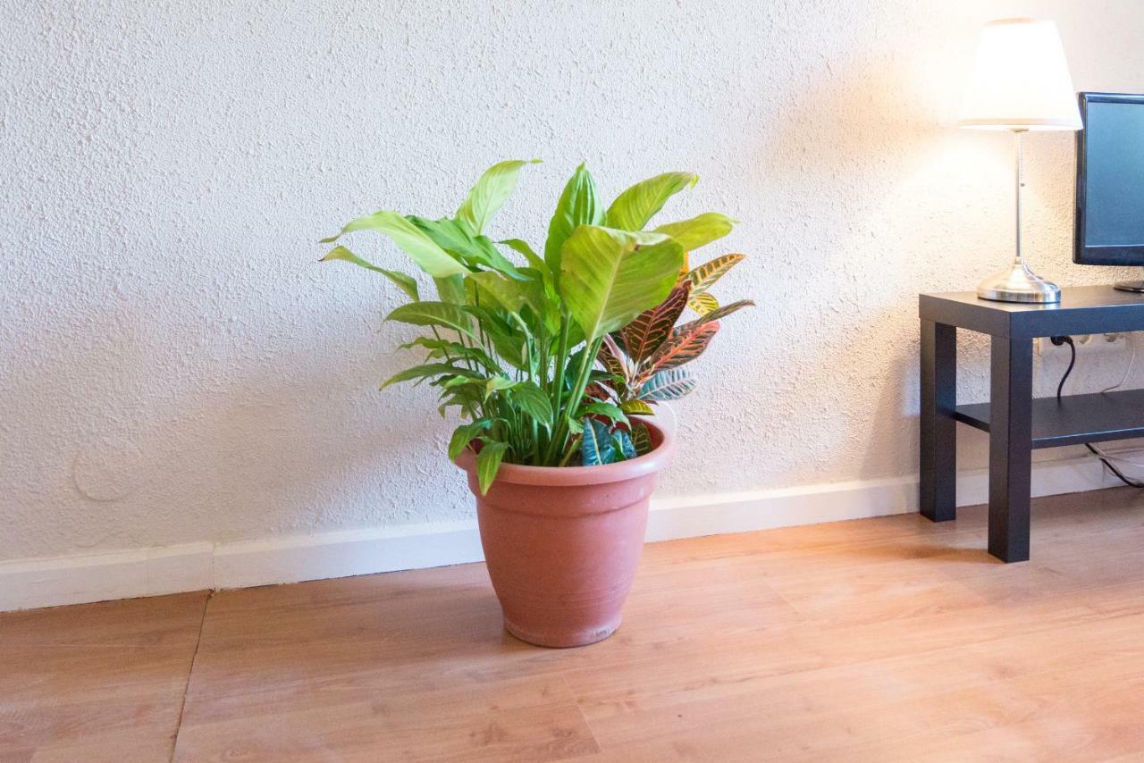 Apartment Entrepinares Malaga