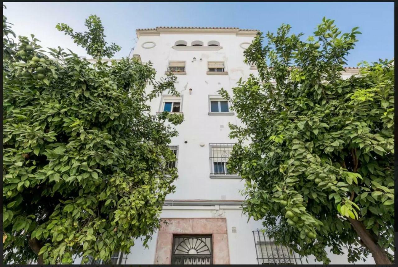 Milagros Málaga