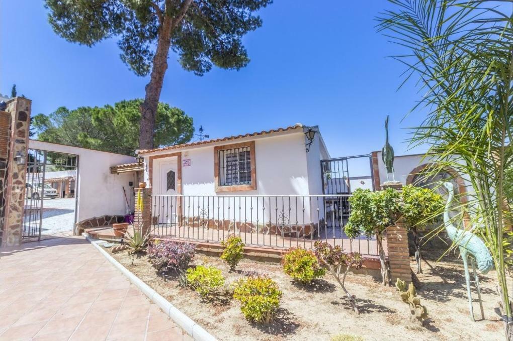Oasis Málaga