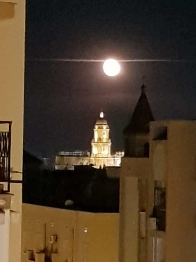 Con Vistas A La Catedral A 15 Minutos Del Centro Malaga