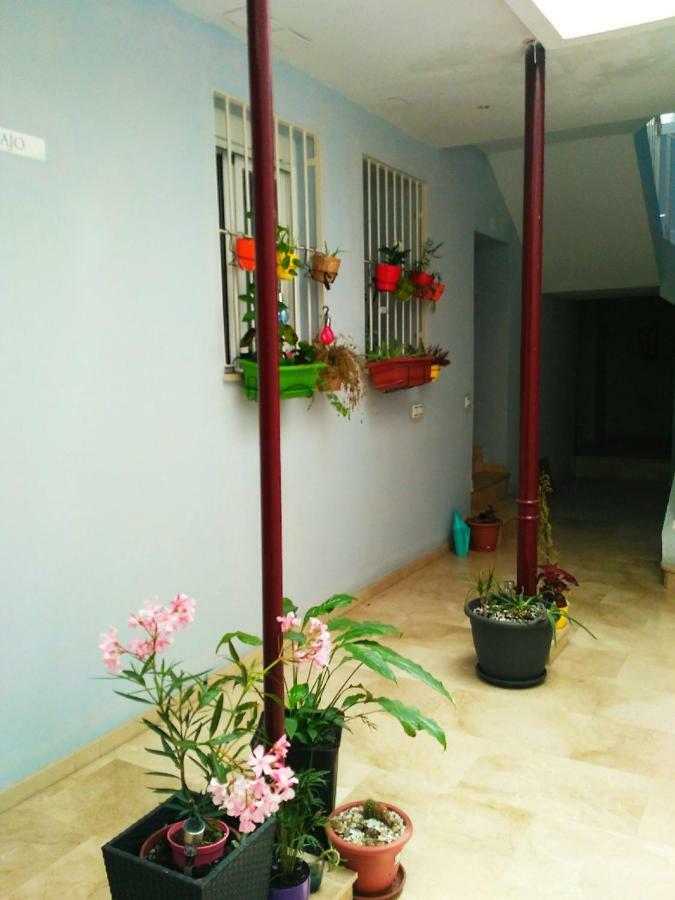 Apartamento Peña *