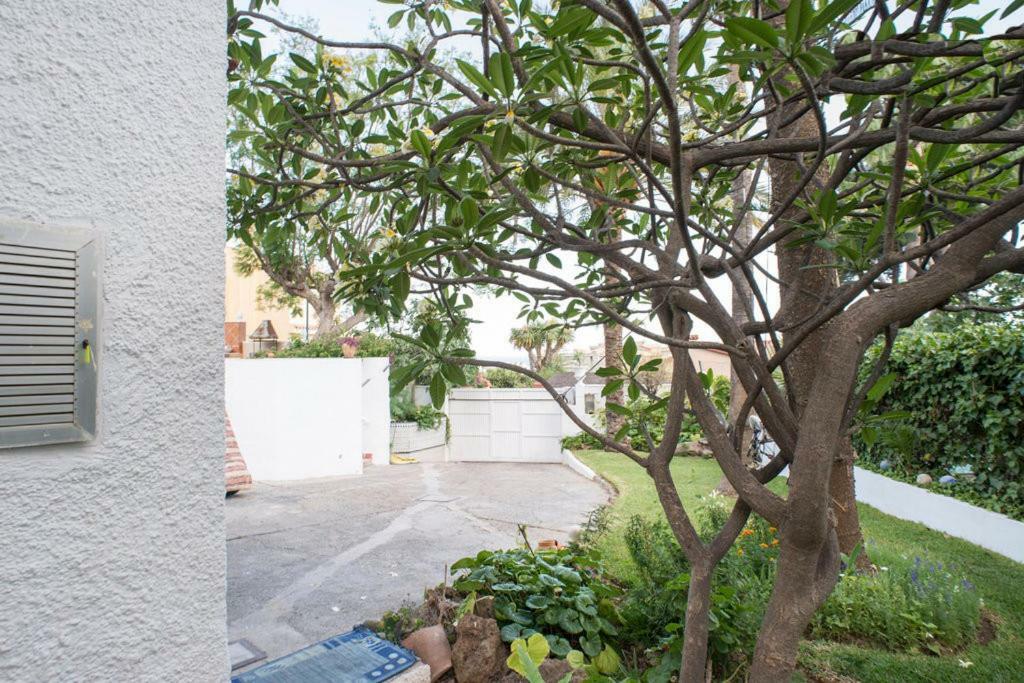 Homestay Doble En Malaga