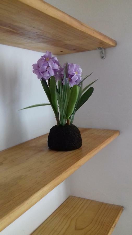 Apartamento David Málaga