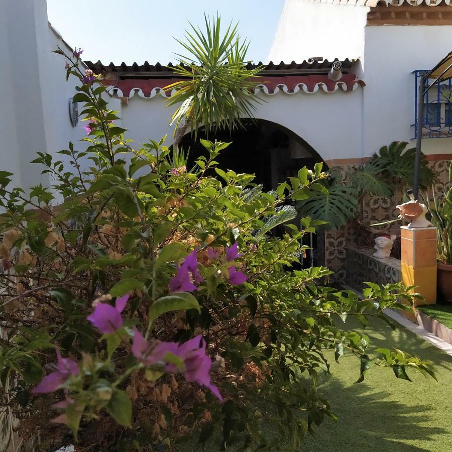 Virgen Bien Aparecida Сasa de vacaciones *