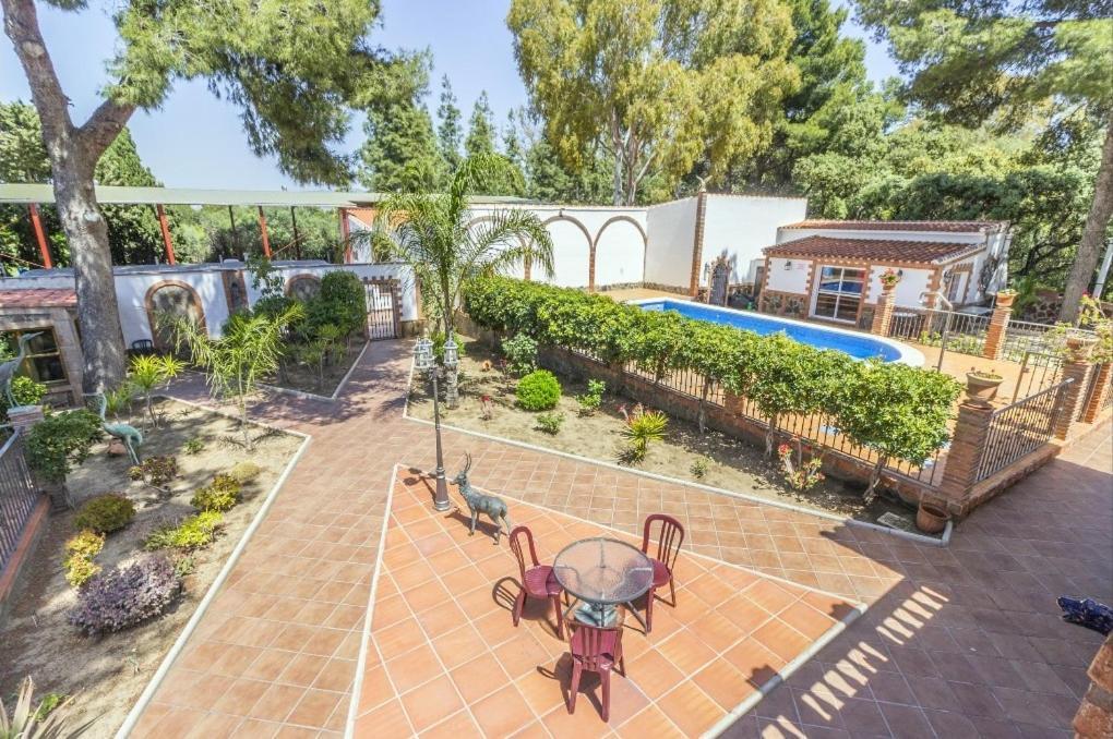 Oasis * Málaga