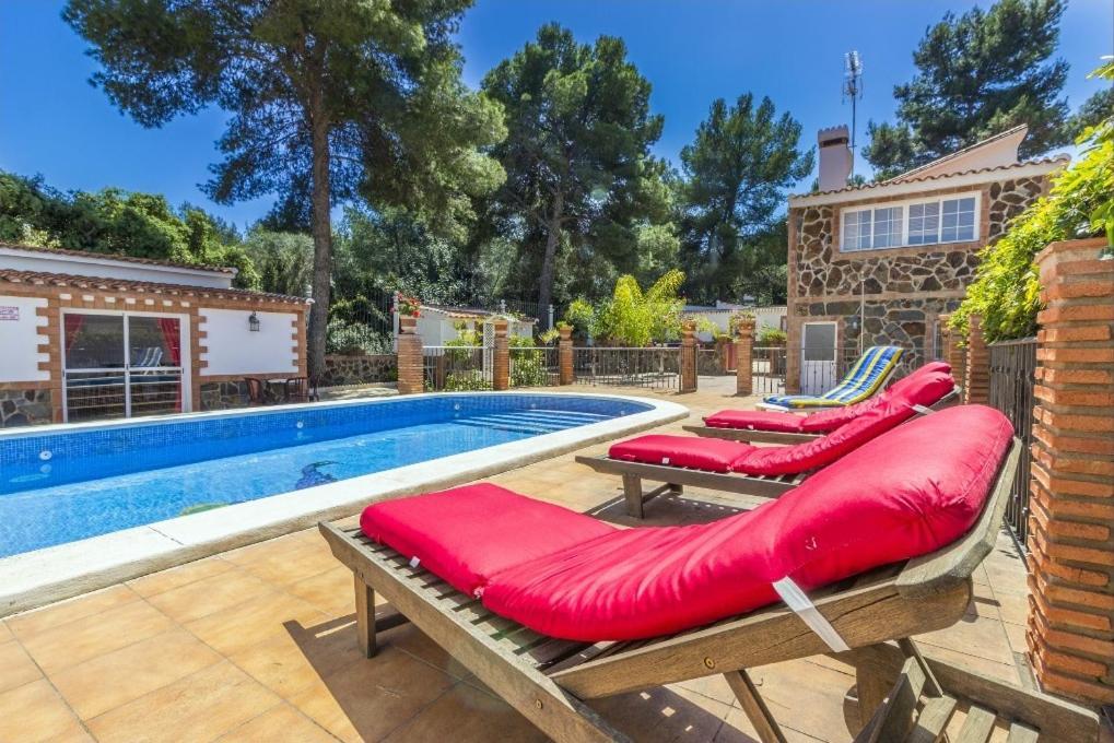 Oasis * Málaga