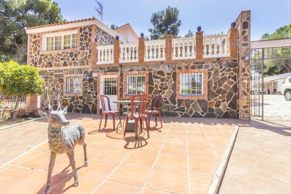 Apartamento Oasis