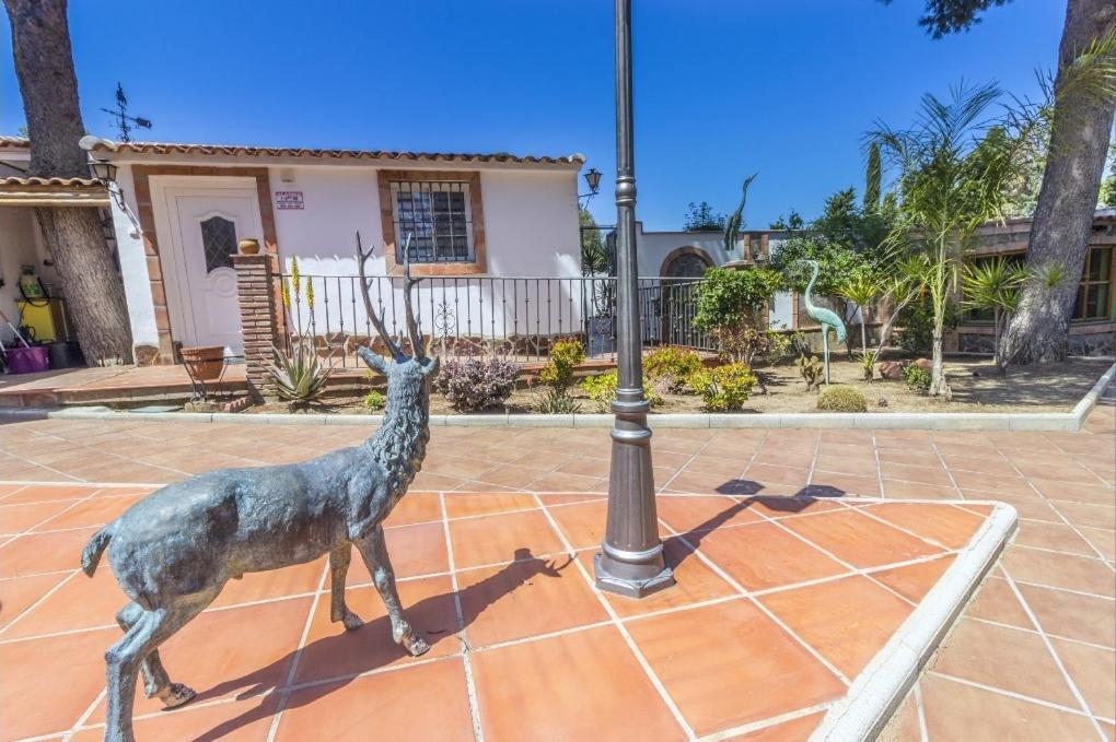 Apartamento Oasis *