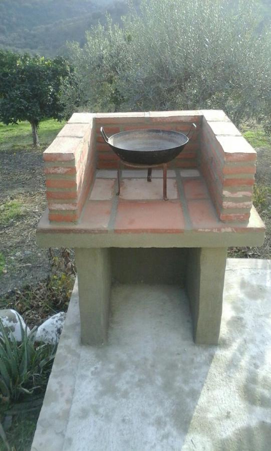 Finca El Naranjito