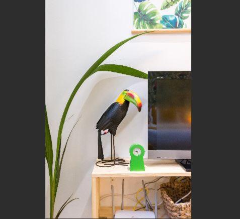 The Paradise Studio Apartamento