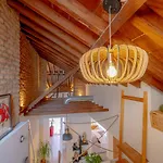 Montaño17B