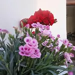 Apartamento La Viña