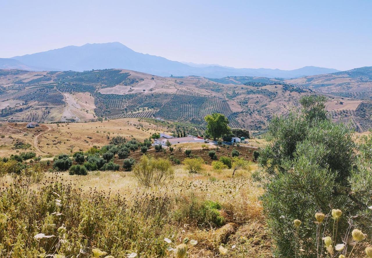 Cortijo El Tunante * Málaga