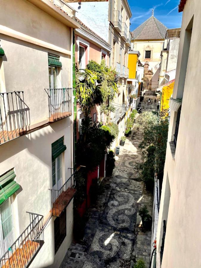 Paloma Solarium Centro Historico Apartment Malaga