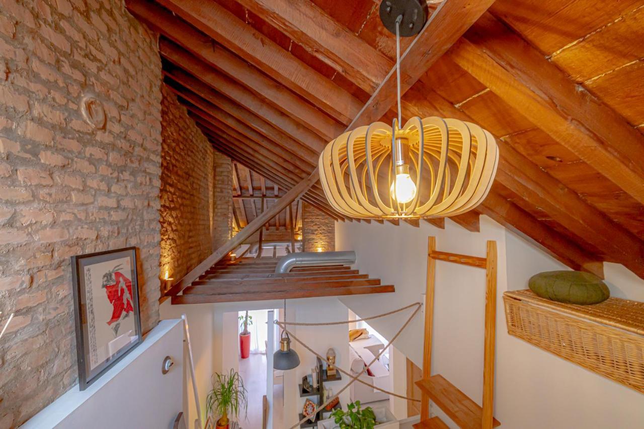 Montaño17b