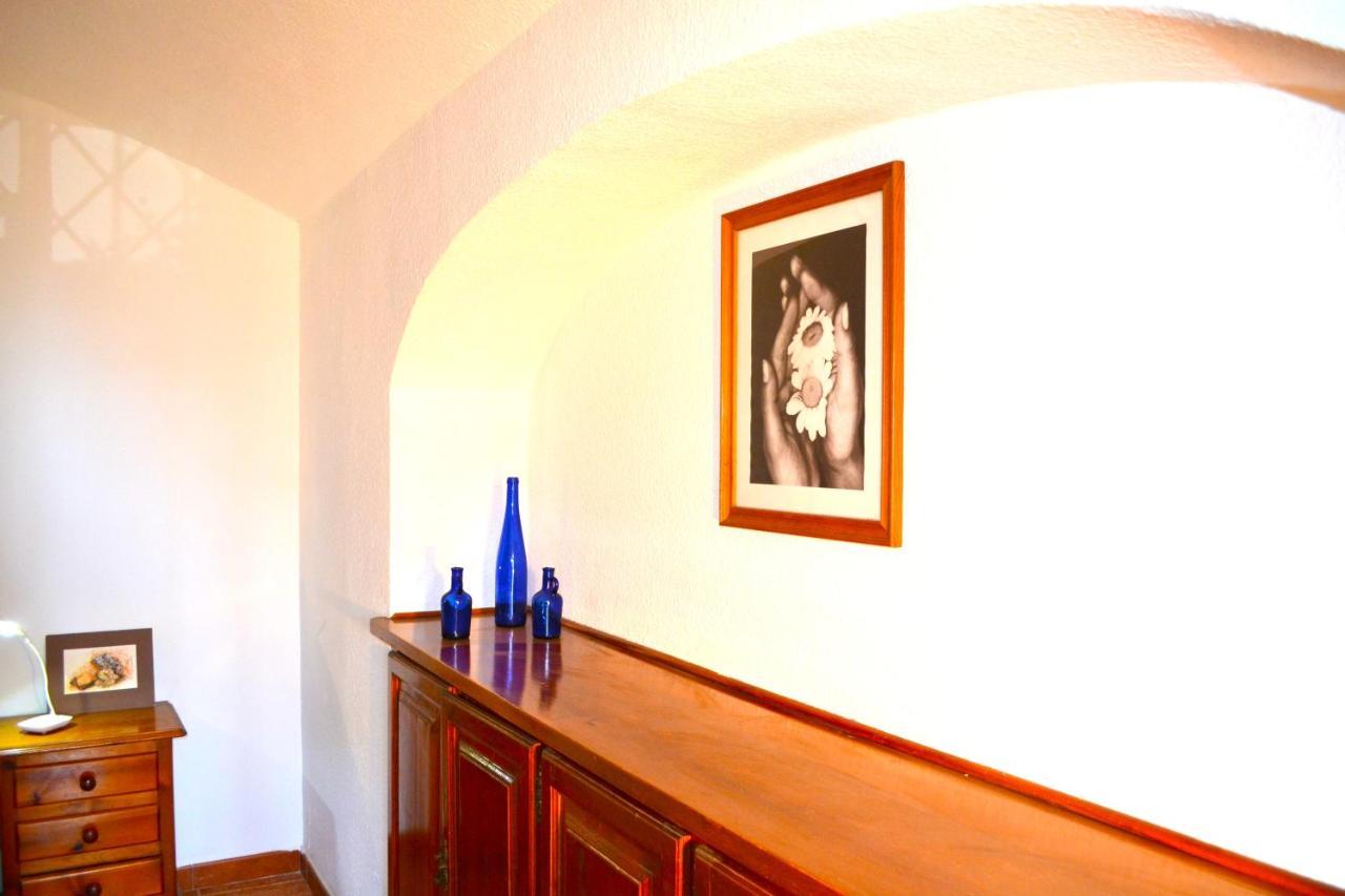 Apartamento Plumaria