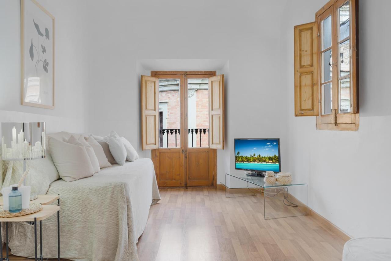 Apartamento Penthouse In Historic Center By Costarentals - Mal01 Málaga