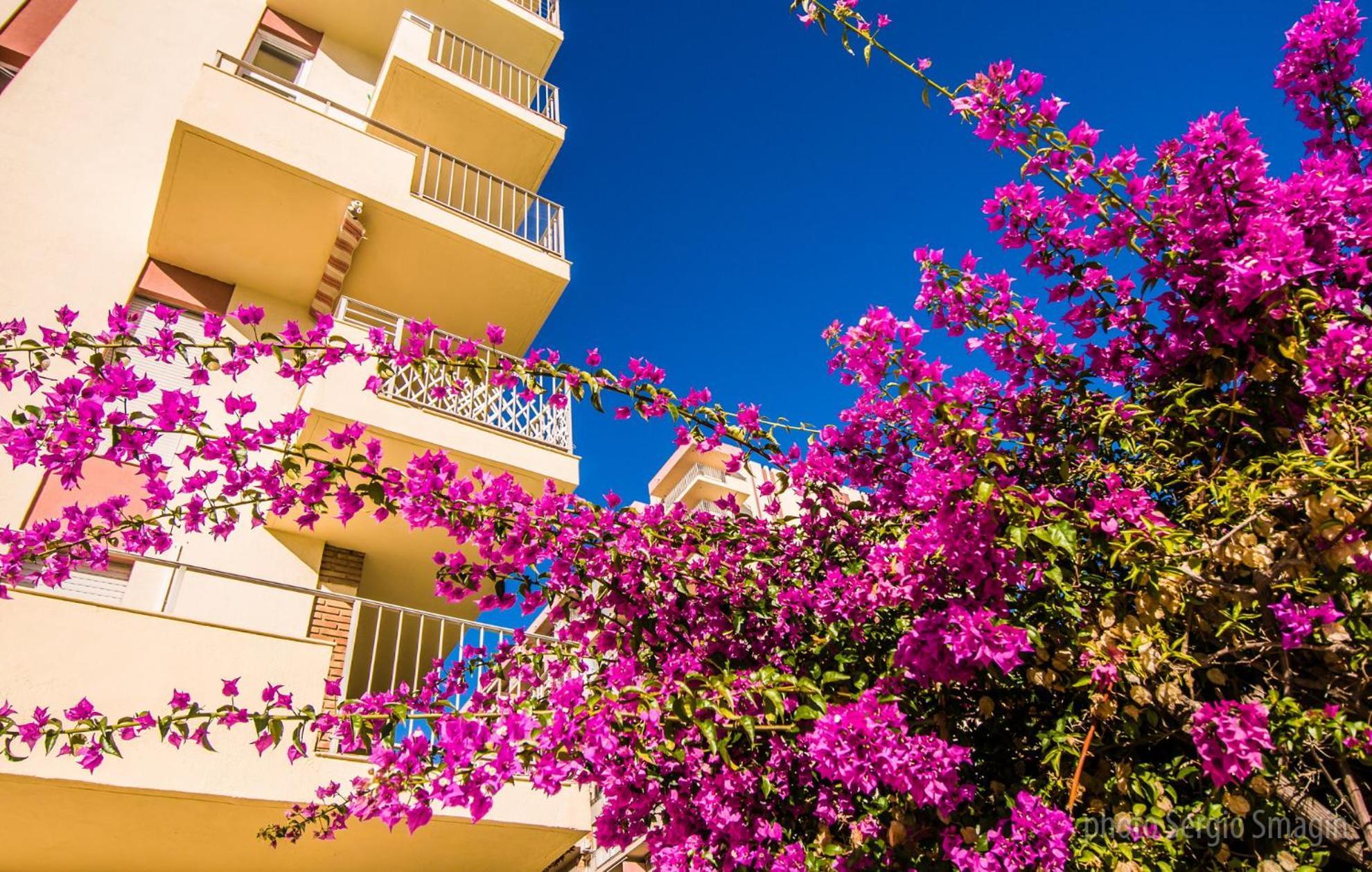 Apartment 237 Estudio En Minerva - Piscina Y Playa- Excelente Ubicacion