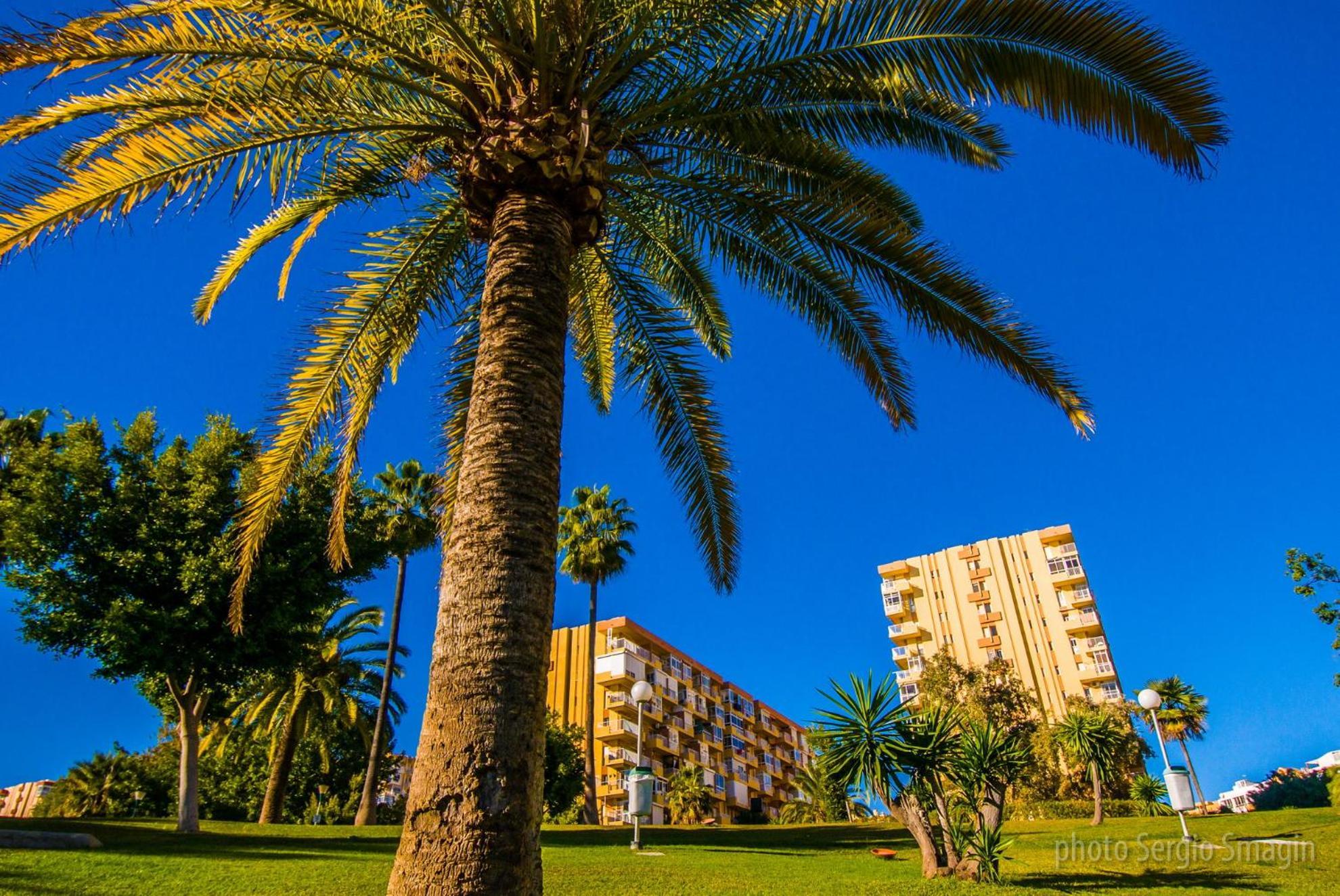 Apartment 237 Estudio En Minerva - Piscina Y Playa- Excelente Ubicacion Malaga
