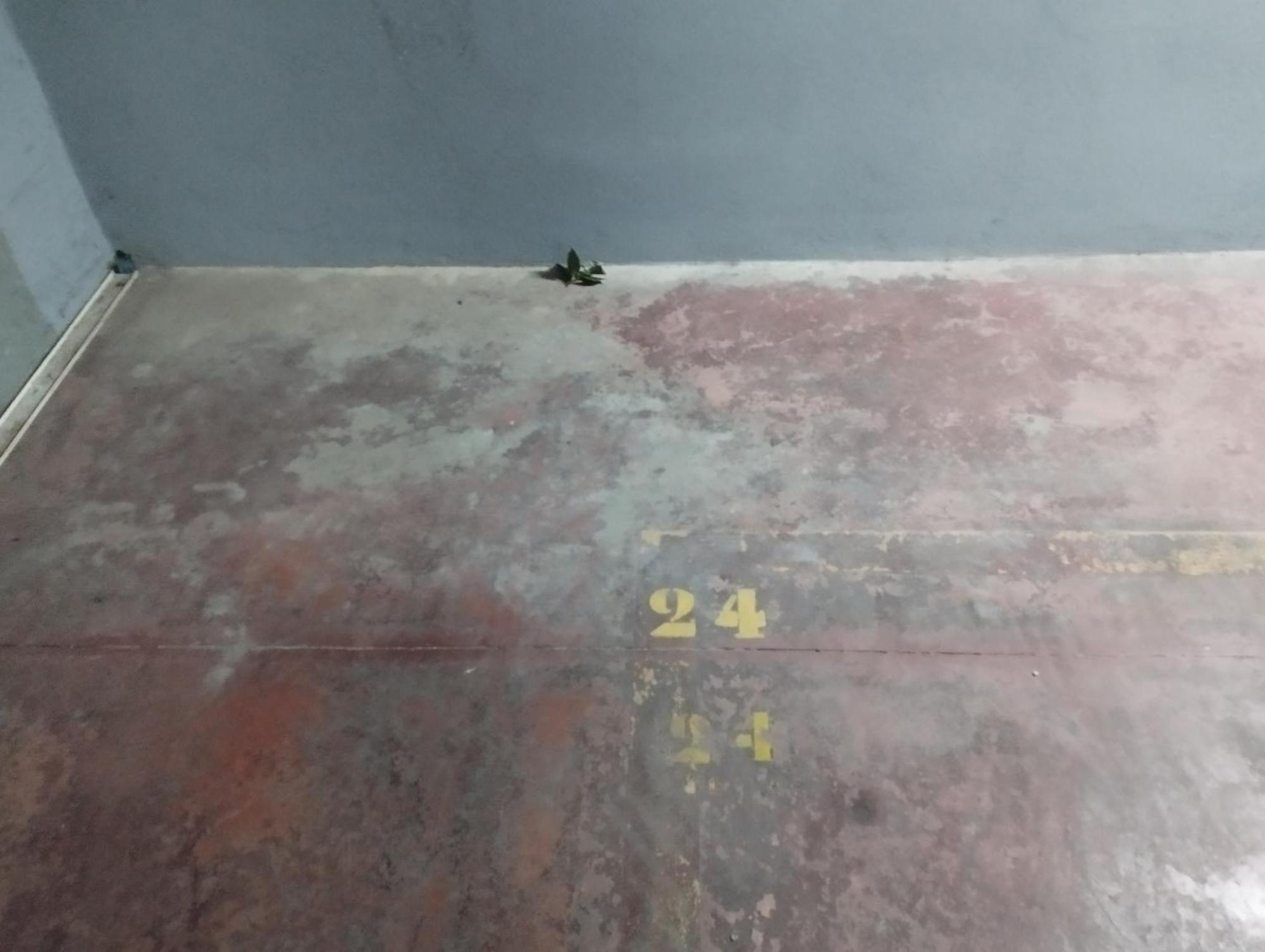 Cd-estudio, Estudio A Estrenar Acogedor Y Funcional, Centrico, Barrio Tranquilo Apartamento