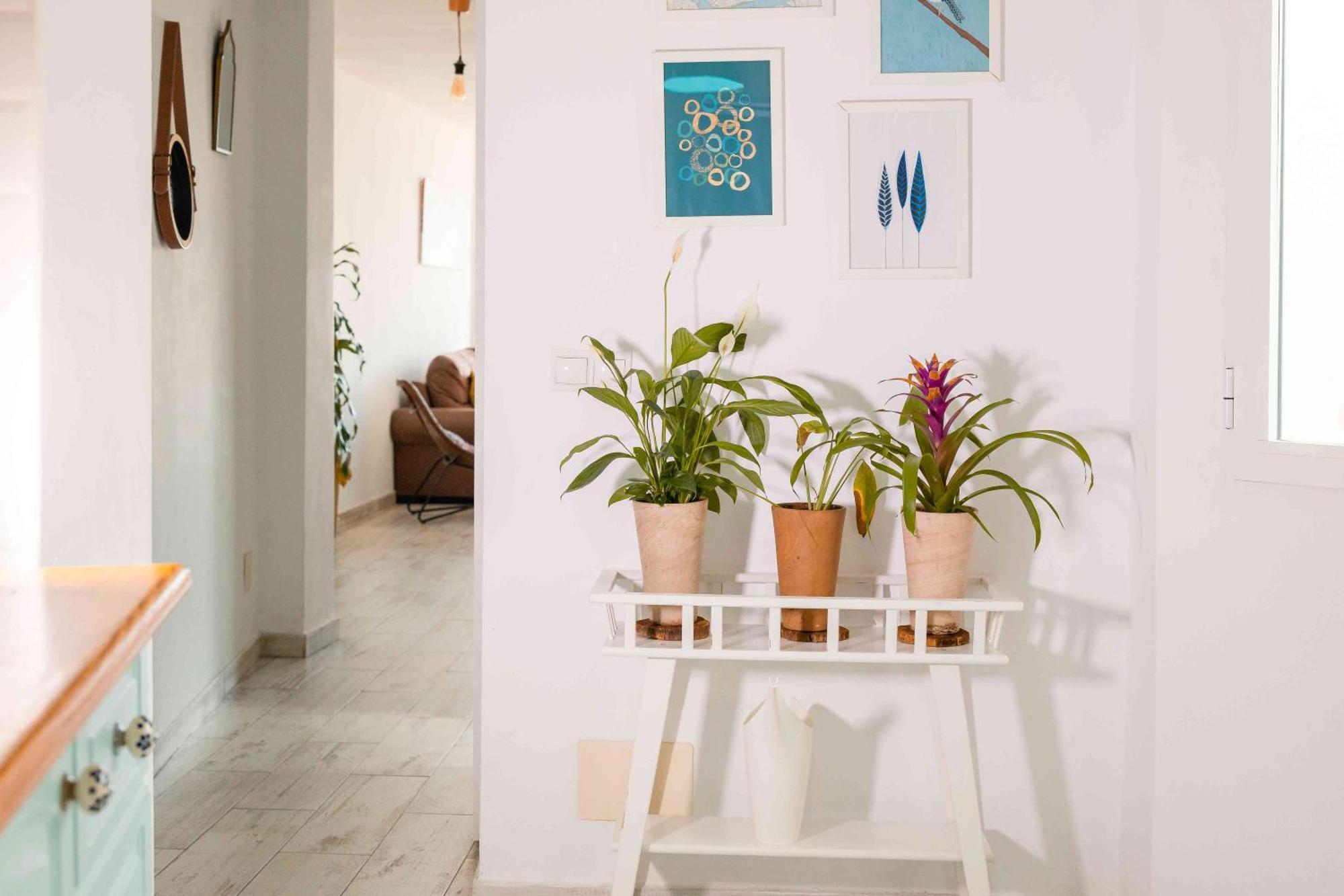 Apartamento El Balcón De Málaga