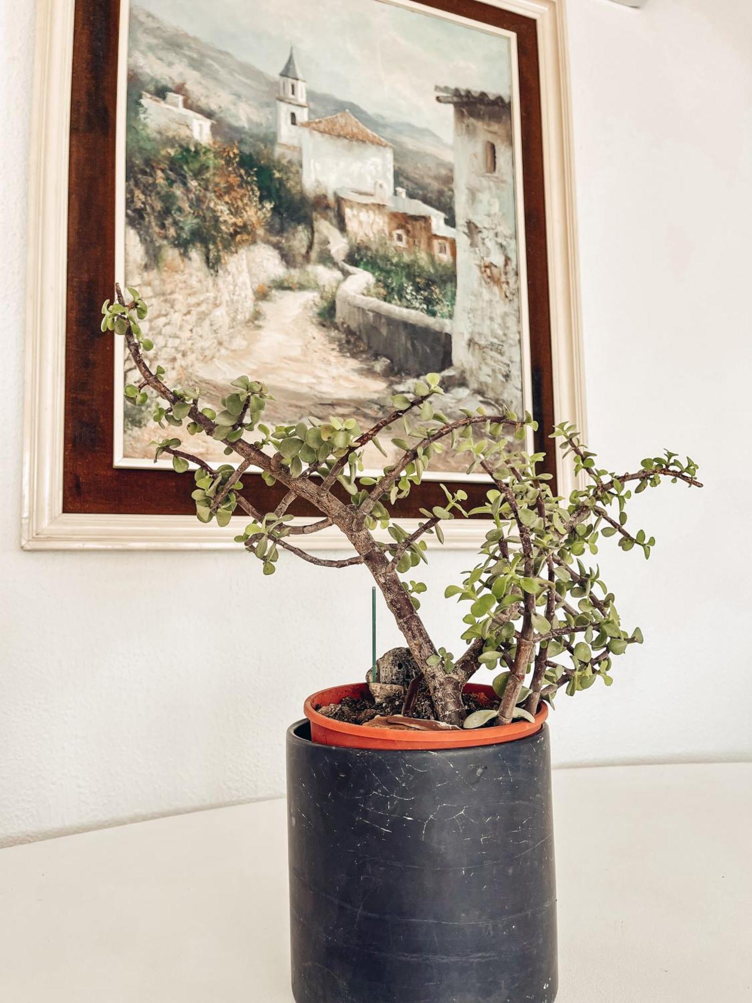 Apartamento Heart Of Shiny & Vintage *