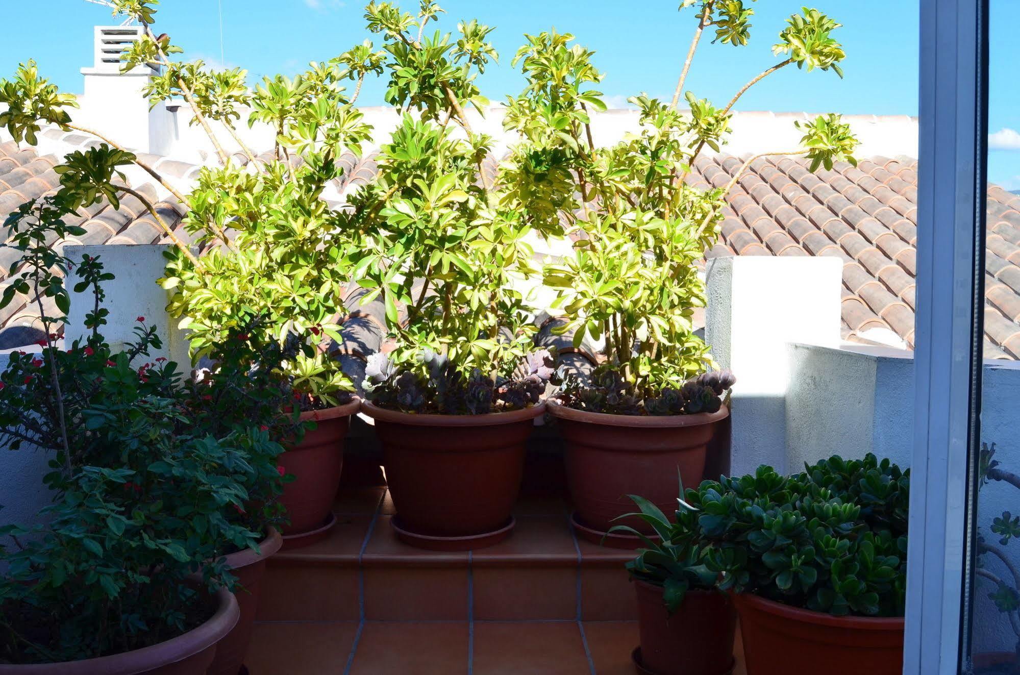 San Pablo Apartamento *