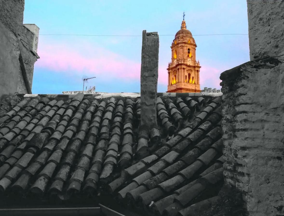 El Sueno De Noctiluca Málaga