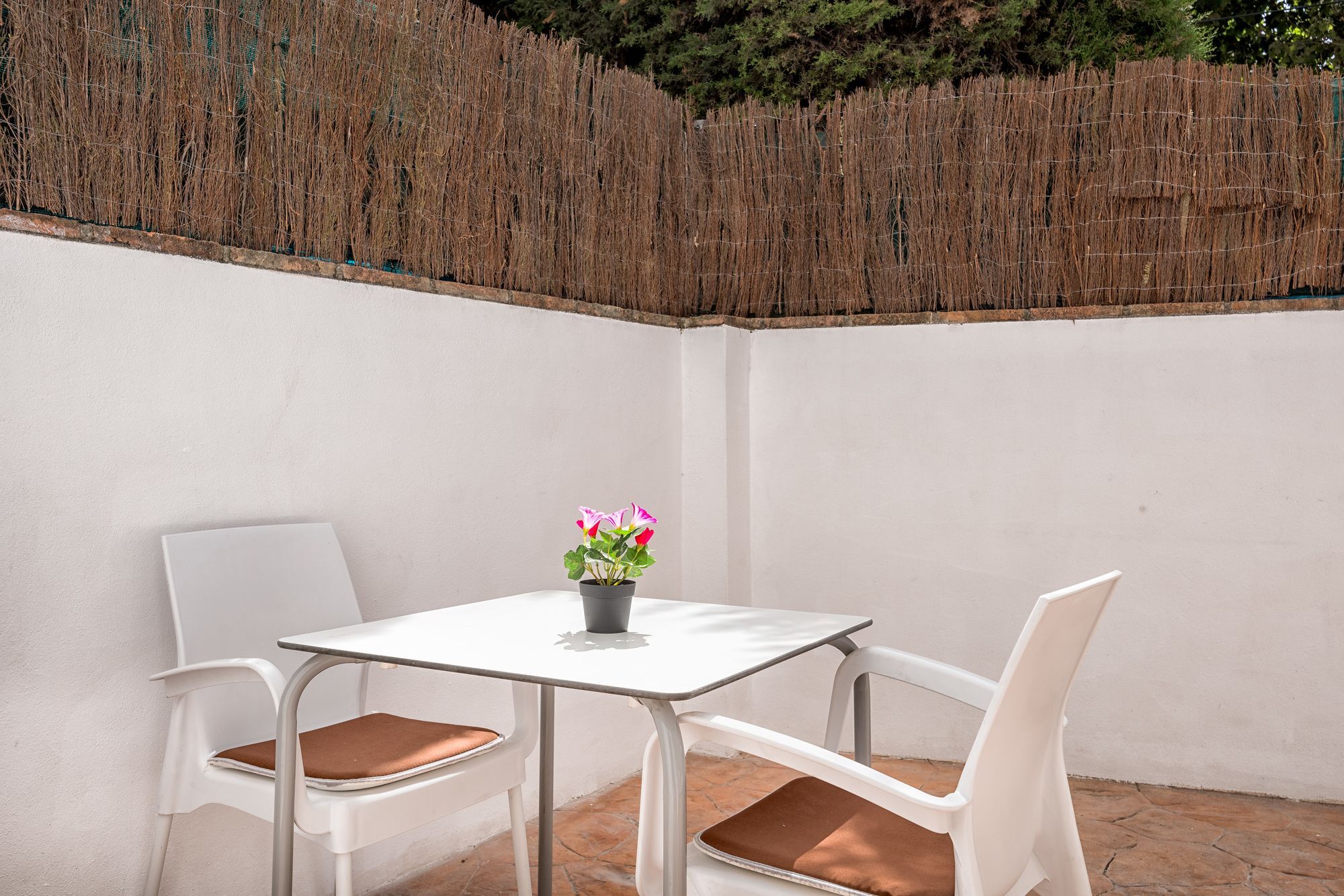 Apartamento Angelita Málaga