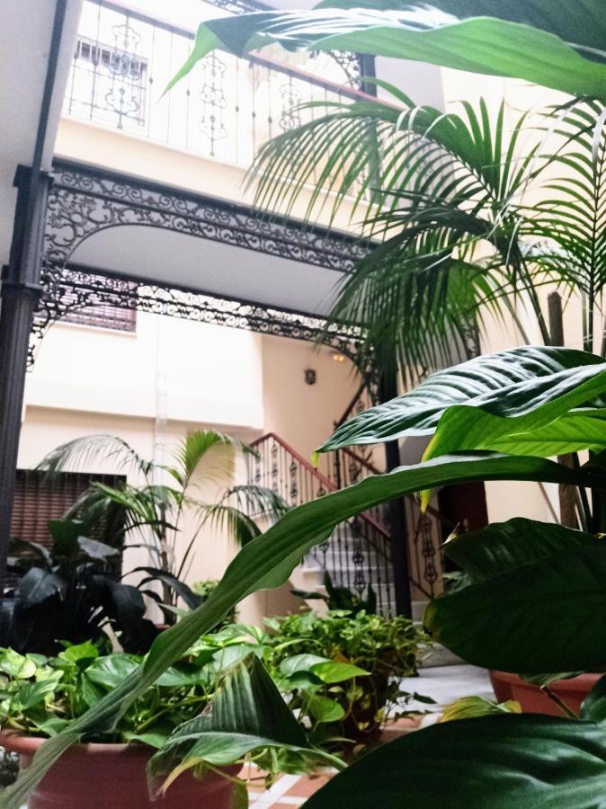 Botánic Apartamento Málaga
