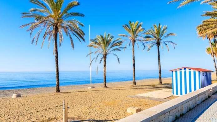 Apartamento Amplio Estudio En Centro Y Playa Victoria 13 *