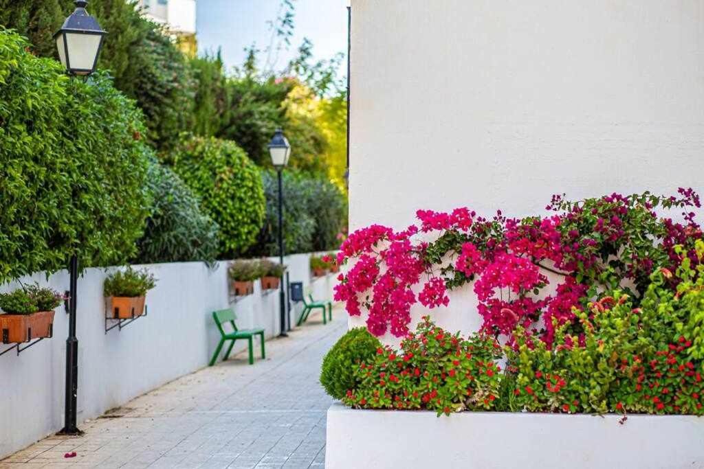 Apartamento Atico Boutique *