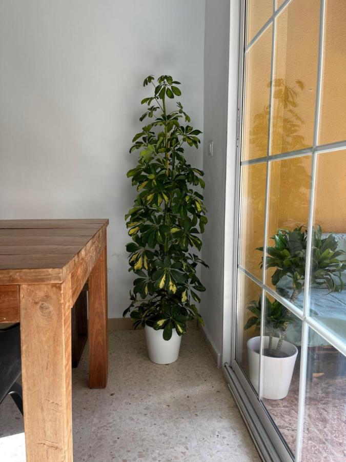 La Biznaga Apartment Malaga