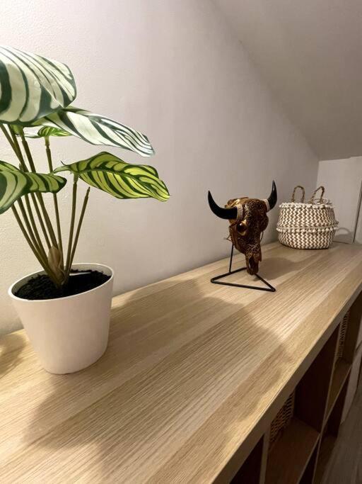 Magnifique Duplex Avec Terrasse Proche De La *