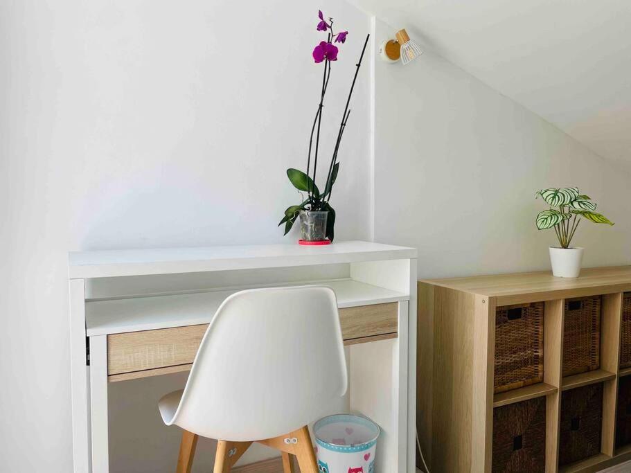 Magnifique Duplex Avec Terrasse Proche De La