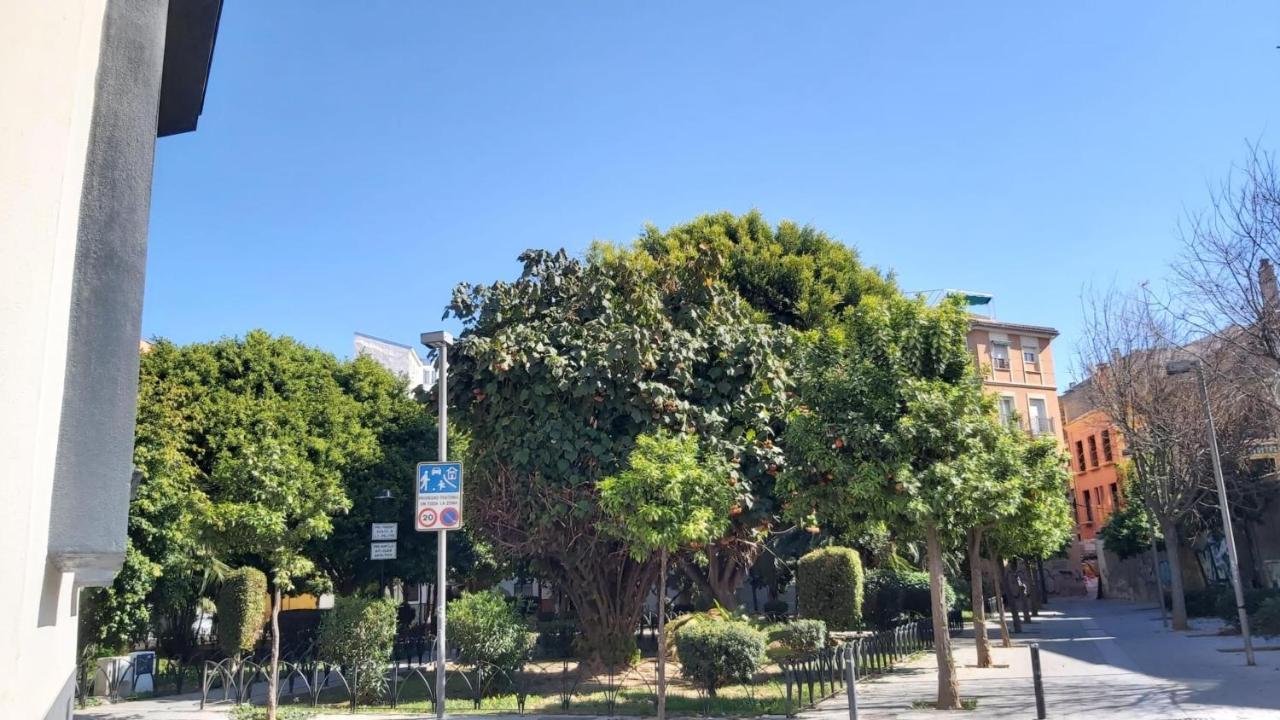Del Parque Flats Urban Adults Luxury