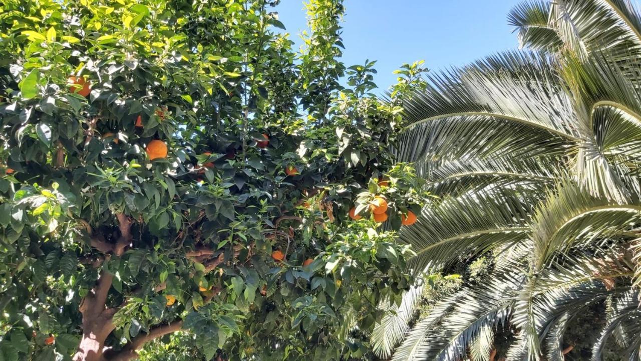 Apartment Del Parque Flats Urban Adults Luxury Malaga