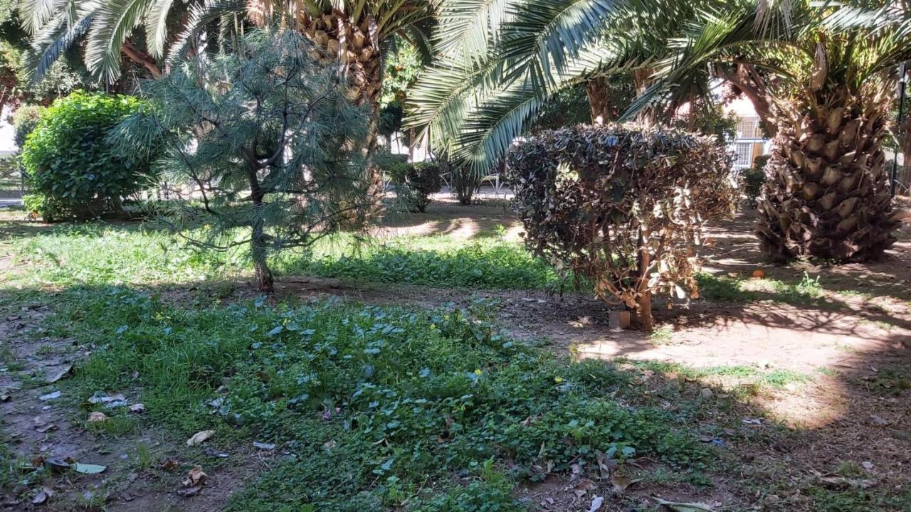 Del Parque Flats Urban Adults Luxury Apartment Malaga