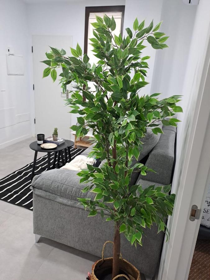 Apartamento Jara Bajo B Málaga