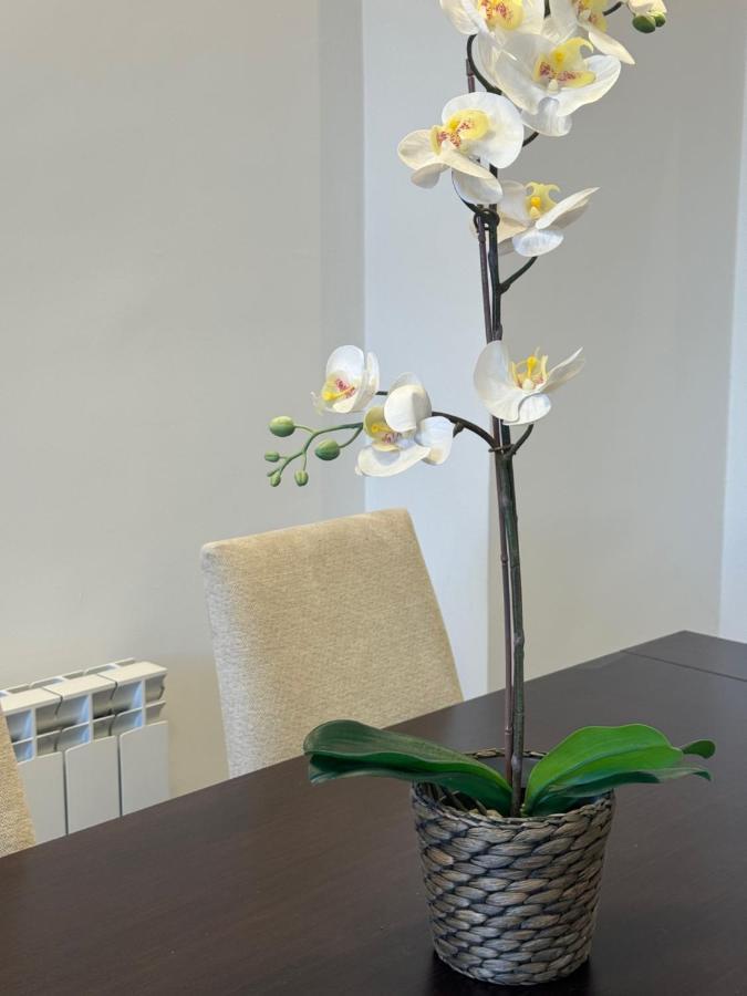 Apartamento Victoria 32 Málaga