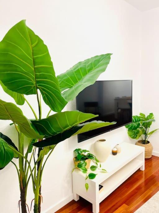 New Elegant In The Heart Of Apartamento Málaga
