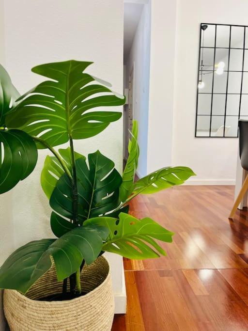 New Elegant In The Heart Of Apartamento Málaga