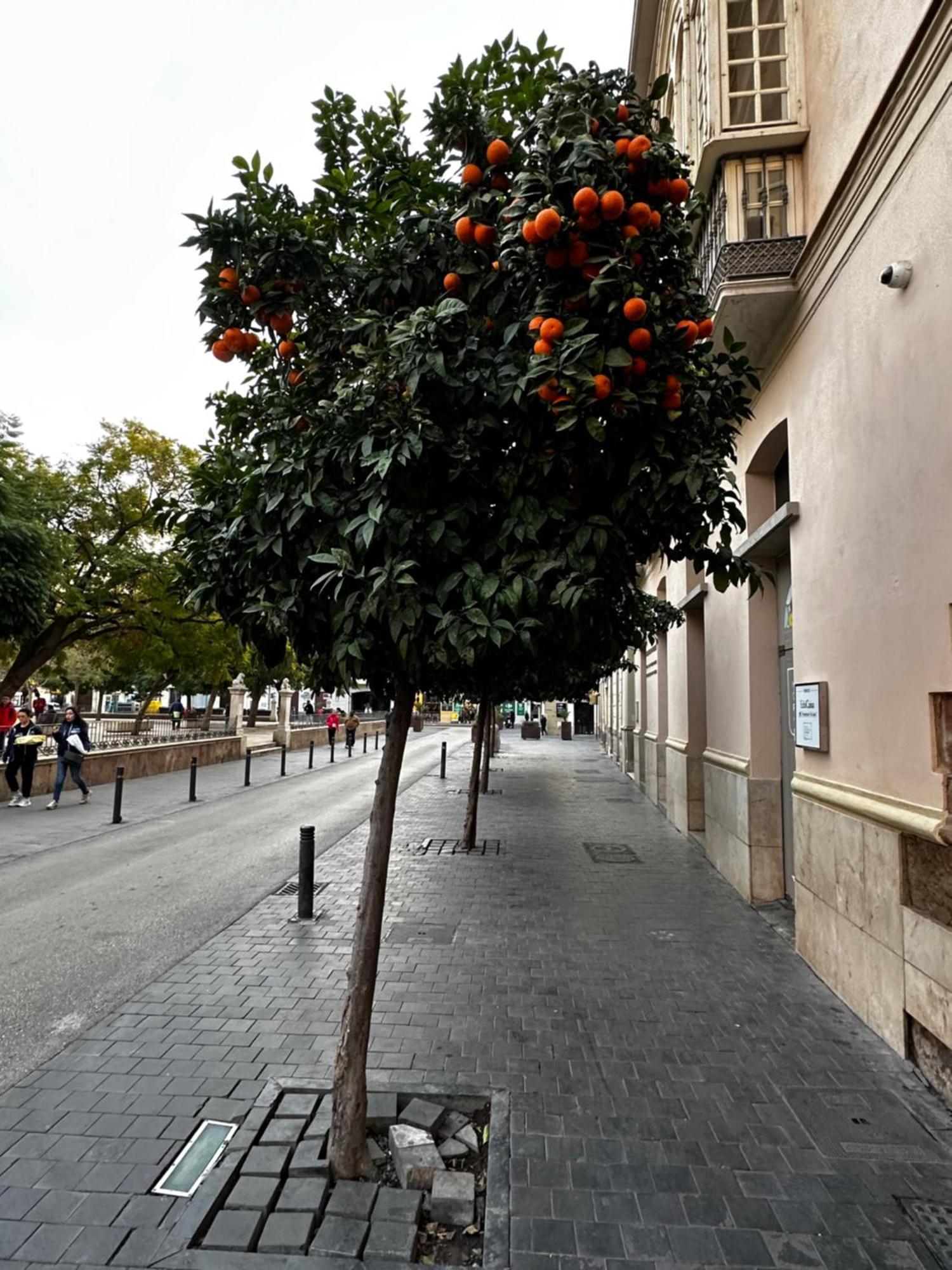 Apartment Malaga's Secret