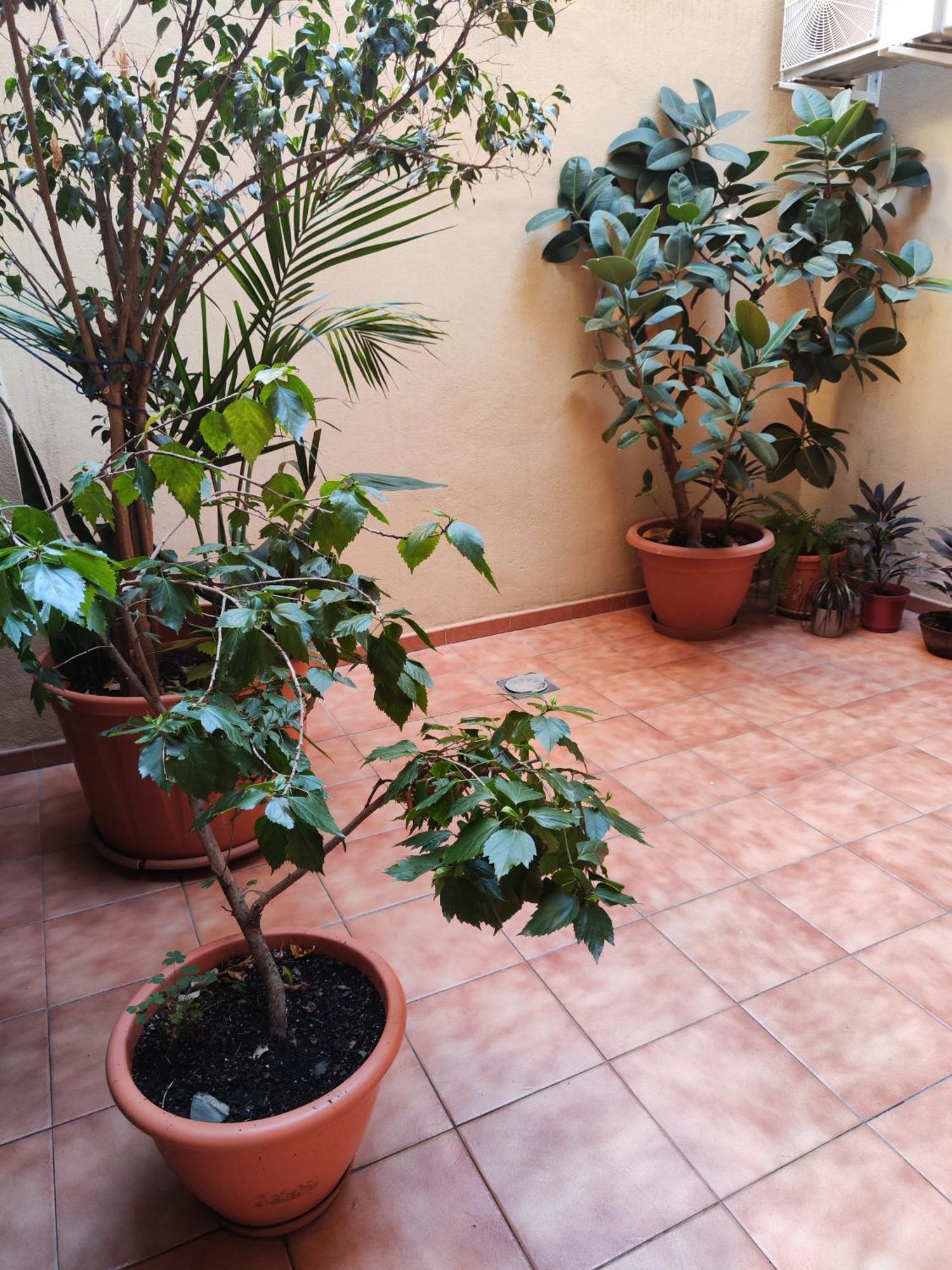Experience Apartamento Málaga
