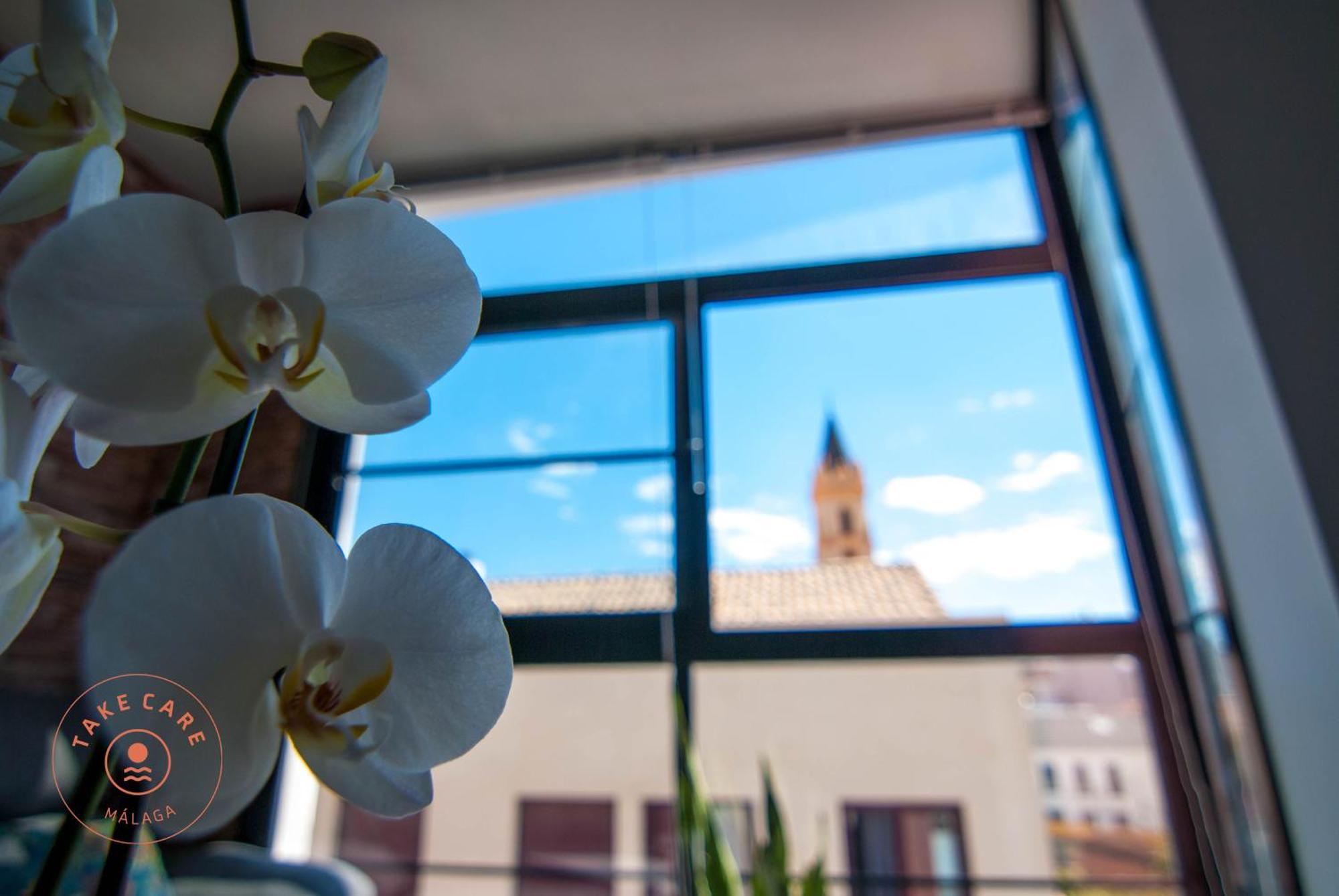 Apartamento With Terrace In Center - Tcm Málaga