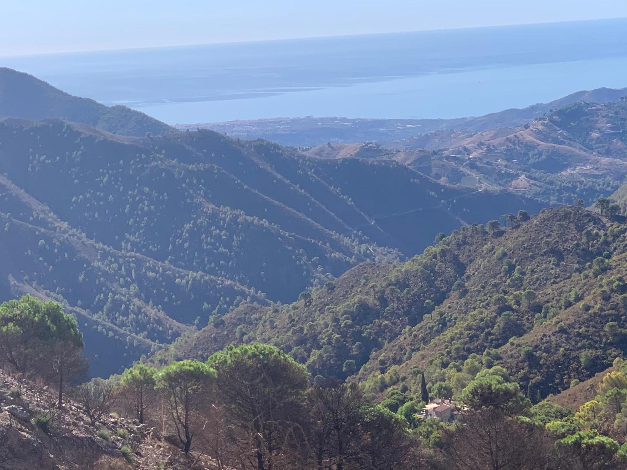 El Almendro Сasa de vacaciones Málaga