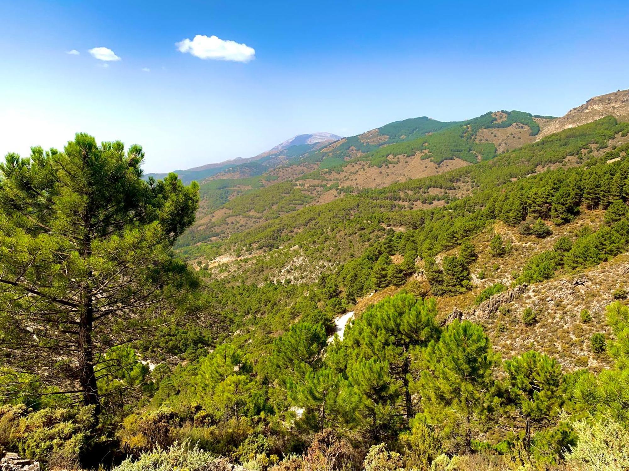 Сasa de vacaciones El Almendro Málaga