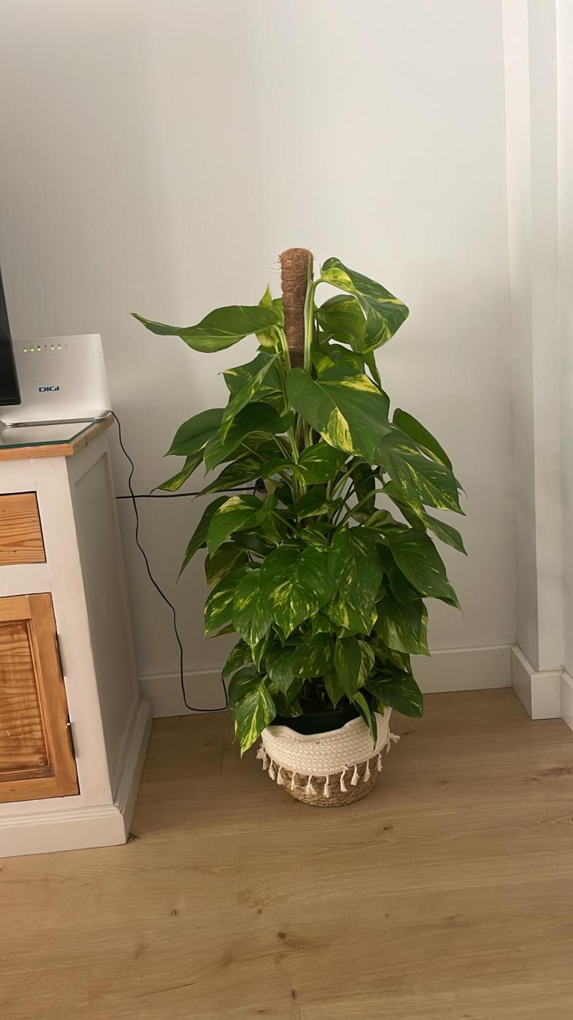 Exclusivo Cerca De La Playa Apartamento