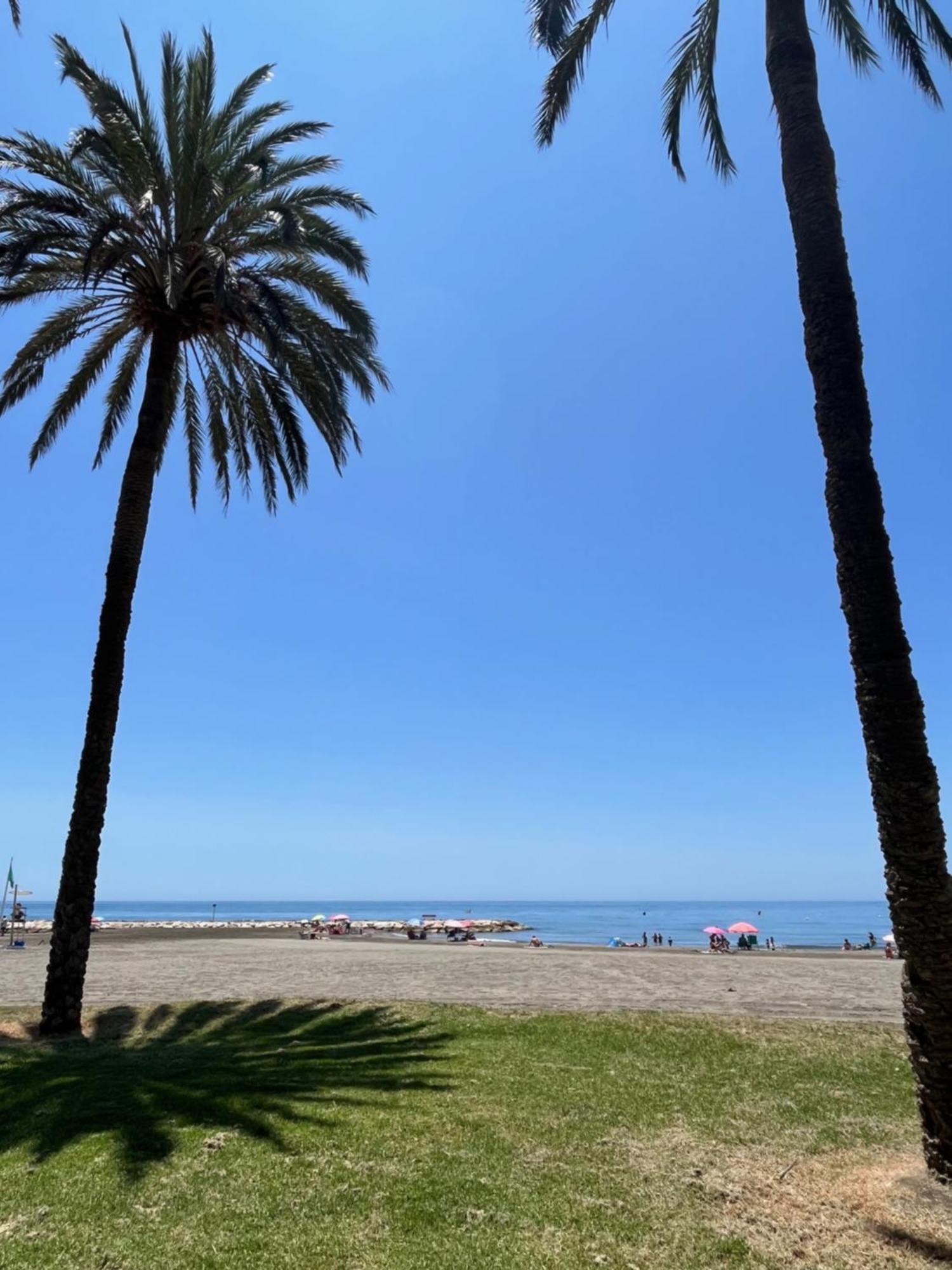La Biznaga * Malaga
